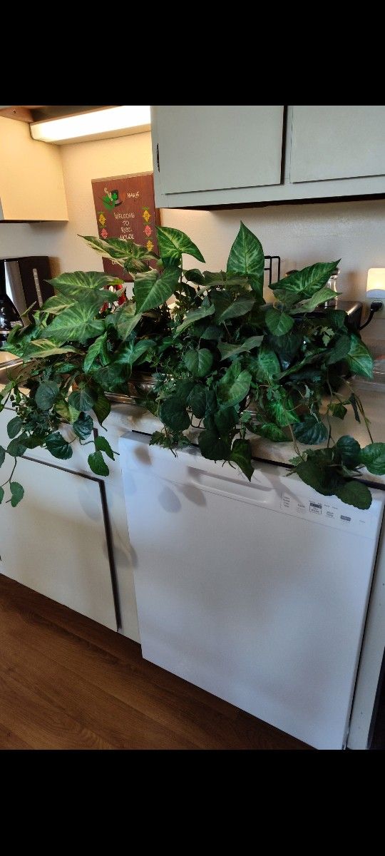 $30 - Large Beautiful Artificial Plant For Your Home Or Office Decor