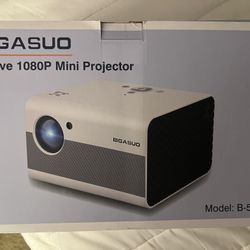 Projector / Screen