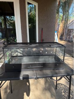 Reptile tank