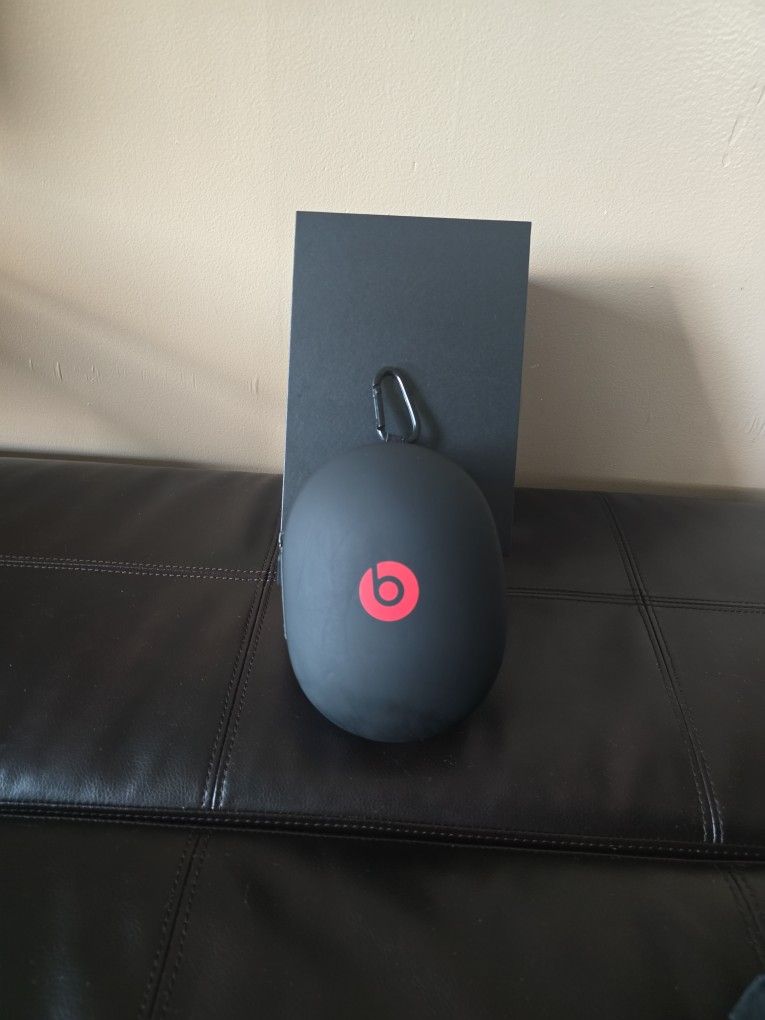 Beats Headphone Case
