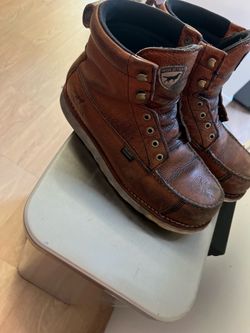 Irish setter wing shooter st