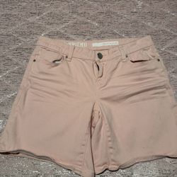 Womens Size 02 Dkny Light Pink Shorts 