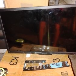INSIGNIA 24" In Has A Wall Mount 
