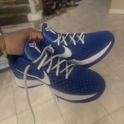 KOBE PROTO