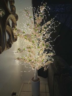 Japanese blossom tree