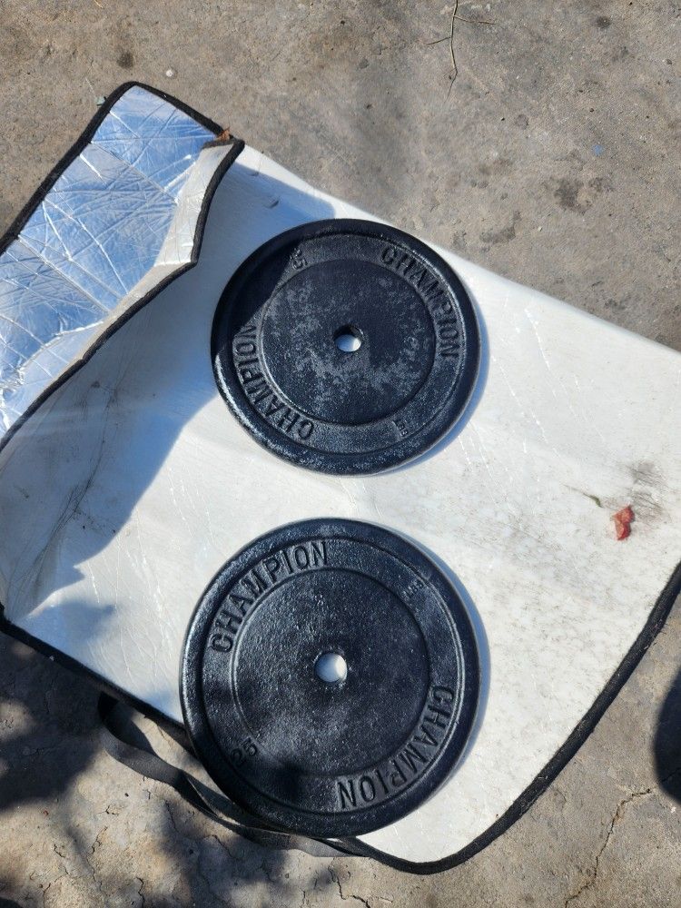 Champion Barbell Weights 25 Lbs 