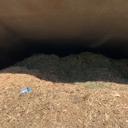 Free Mulch