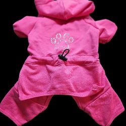 Dog Sweatsuit For a Bitch