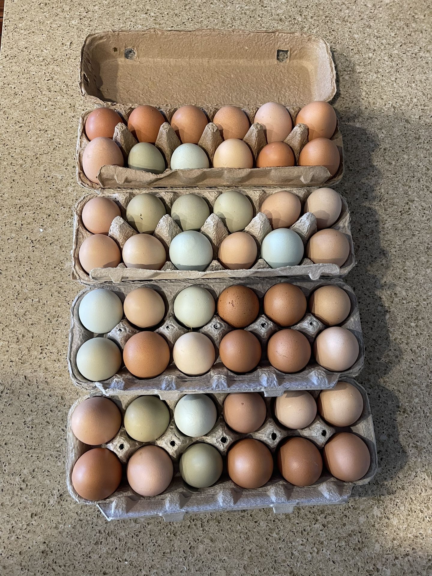 Fresh Organic Chicken Eggs