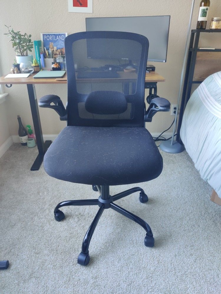 Ergonomic Black Office Chair