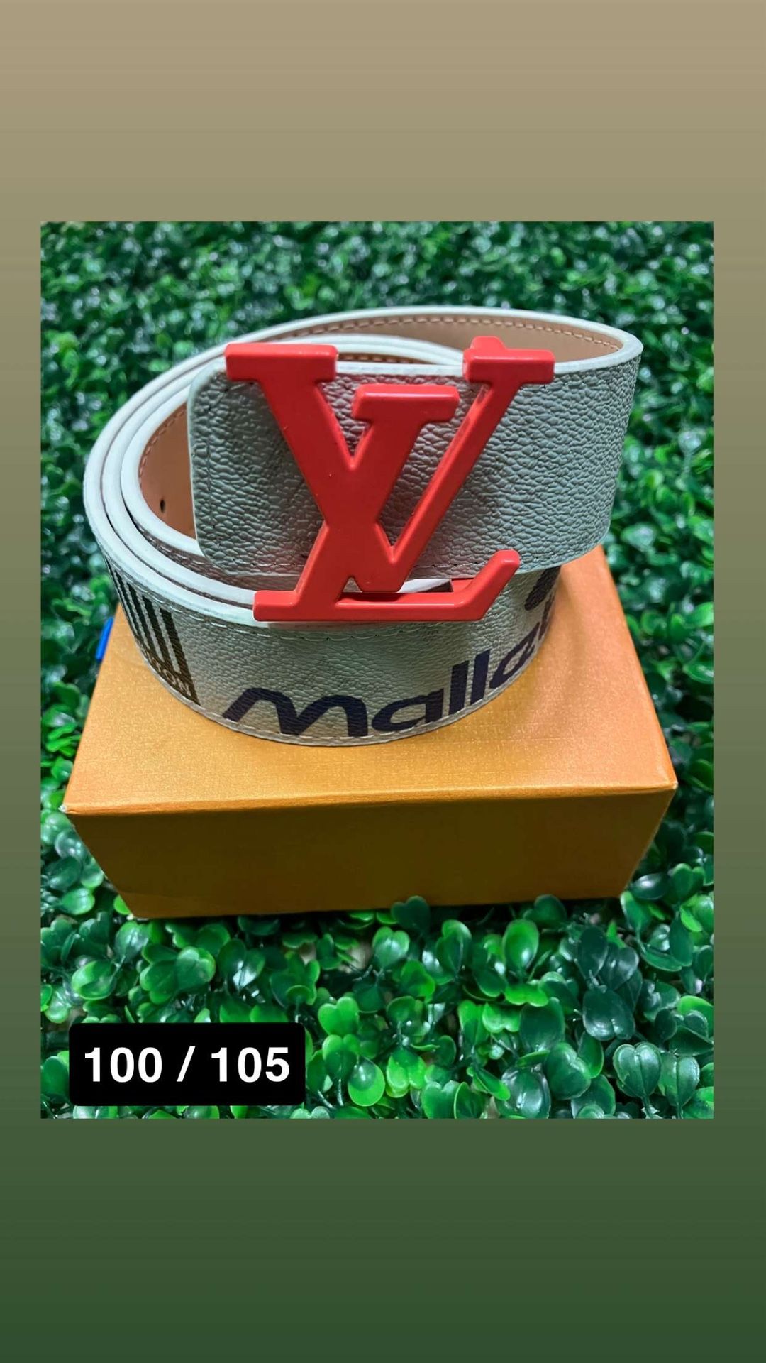 Loui V Belt Men’s 