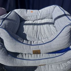 Large Dog ,pillow,Blanket 