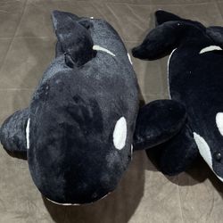 SeaWorld Whales