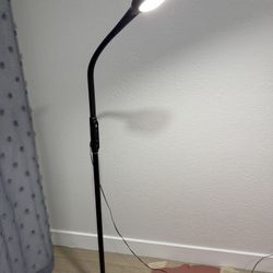 LED Floor Lamp