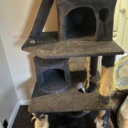 cat tower