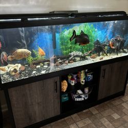 FISH TANK ONLY 125 Gallon