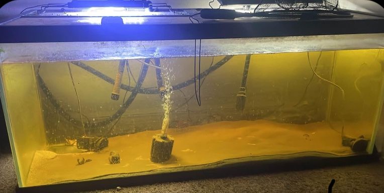 75gallon fish tank