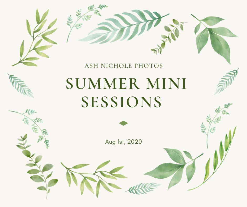 Hartville Summer Mini Sessions on 8/1/2020