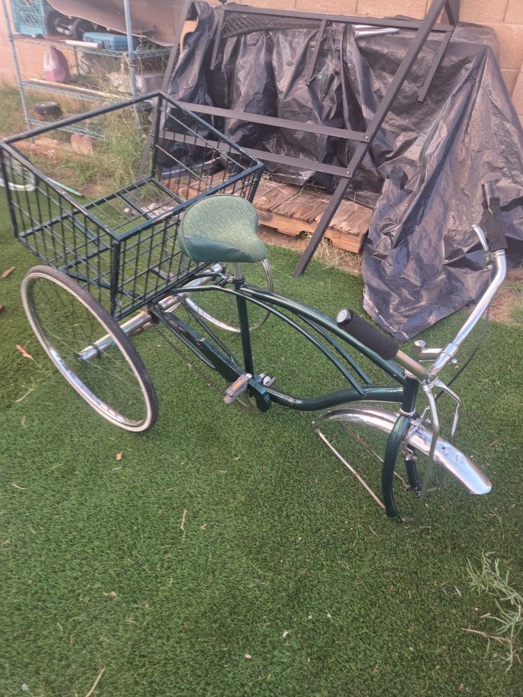 3 Wheel Beach Cruiser