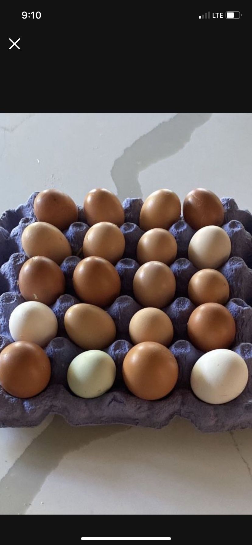 Eggs