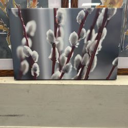 Willow Twigs by Denis1978 - Wrapped Canvas Photograph