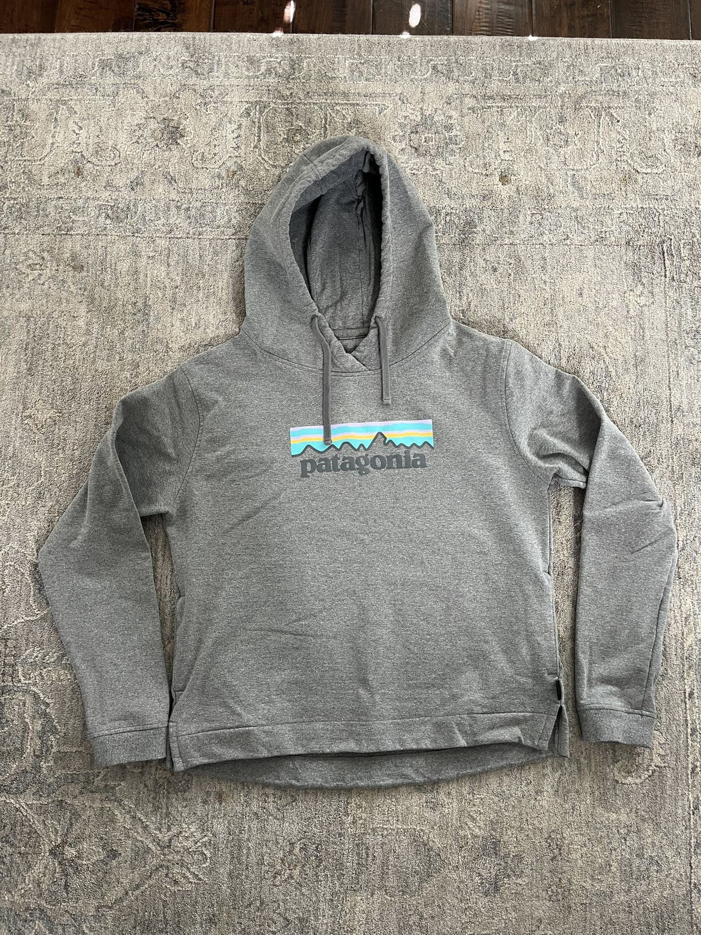 Women's Patagonia Hooded Sweatshirt (Large)