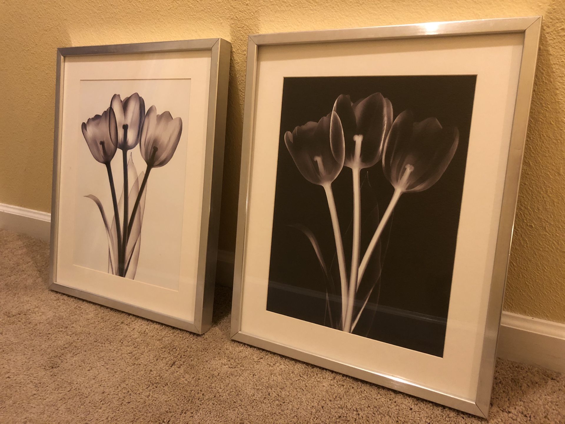 Ikea Flower Picture and Frames