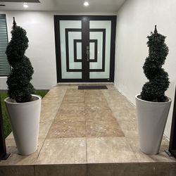 two modern plant outdoor