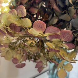 3 Dried Hydrangea Bouquets $5 Jars not included.