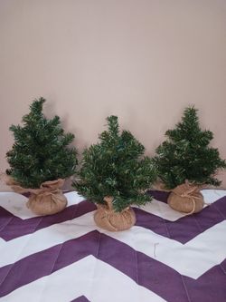 3 Small Christmas Trees For Christmas Decorating