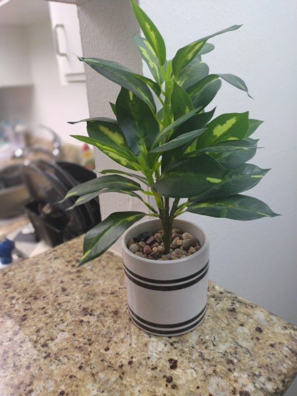 Decor Flowers ( Artificial )