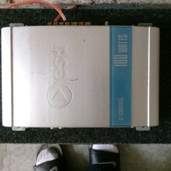 15 inch Verge woofer/100 watt Esa Amplifier