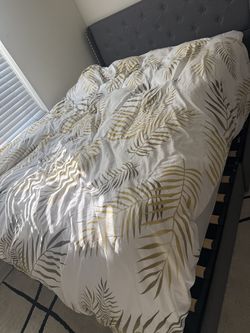 Queen bed with Mattress