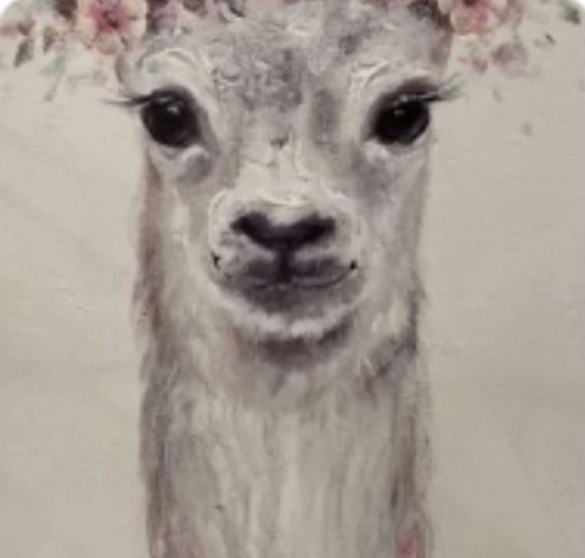 Large Canvas Lama Pic $18 20X30