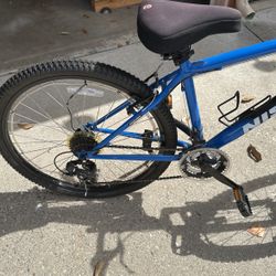 Bicycle Teen