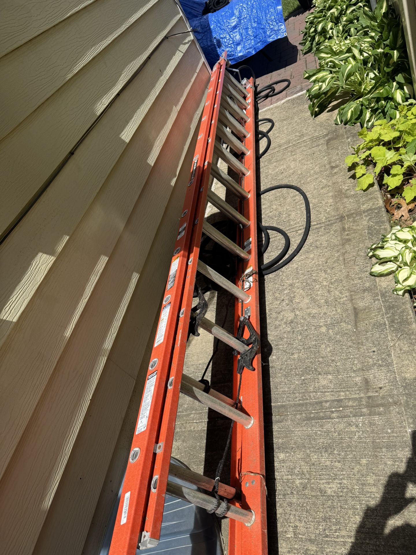 Ladder