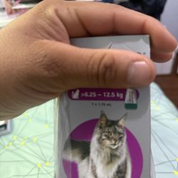 Cat/dog fleas shampoo