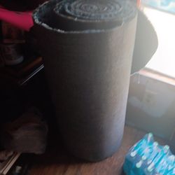 20 Dollars Blueish Color