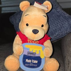 Disney stuffed Winnie the poo with picture frame