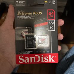 Memory Storage SanDisk