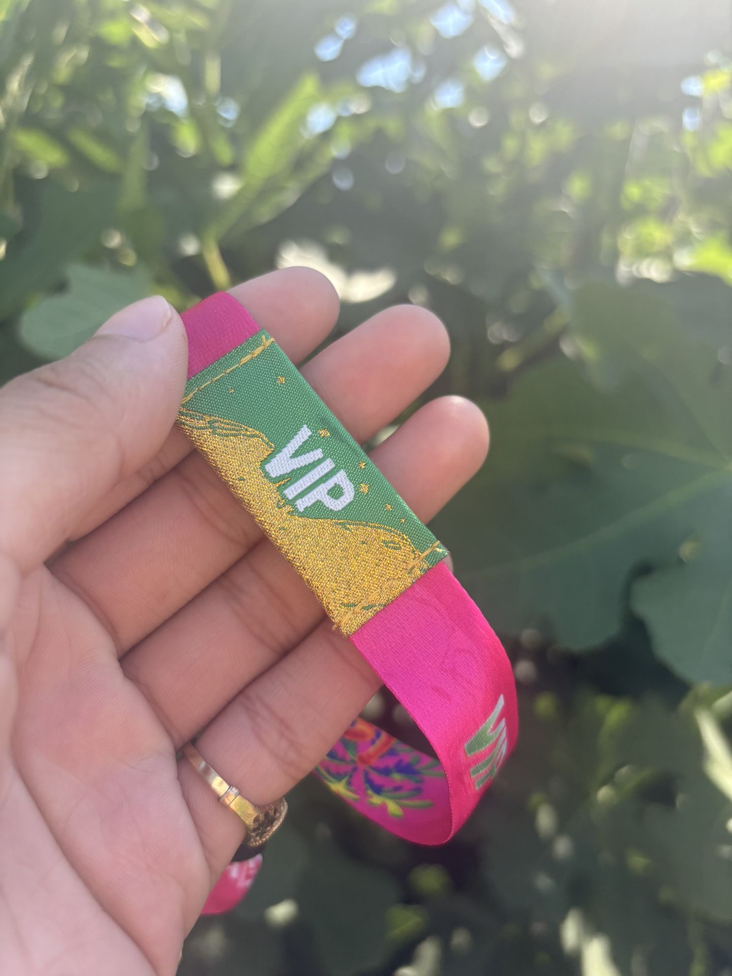 VIP BAJA TICKET!