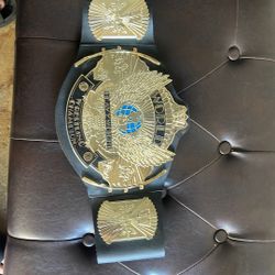 WWE world heavyweight champion belt toy