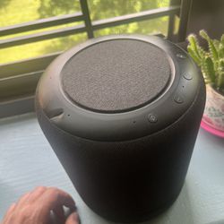 Alexa speakers