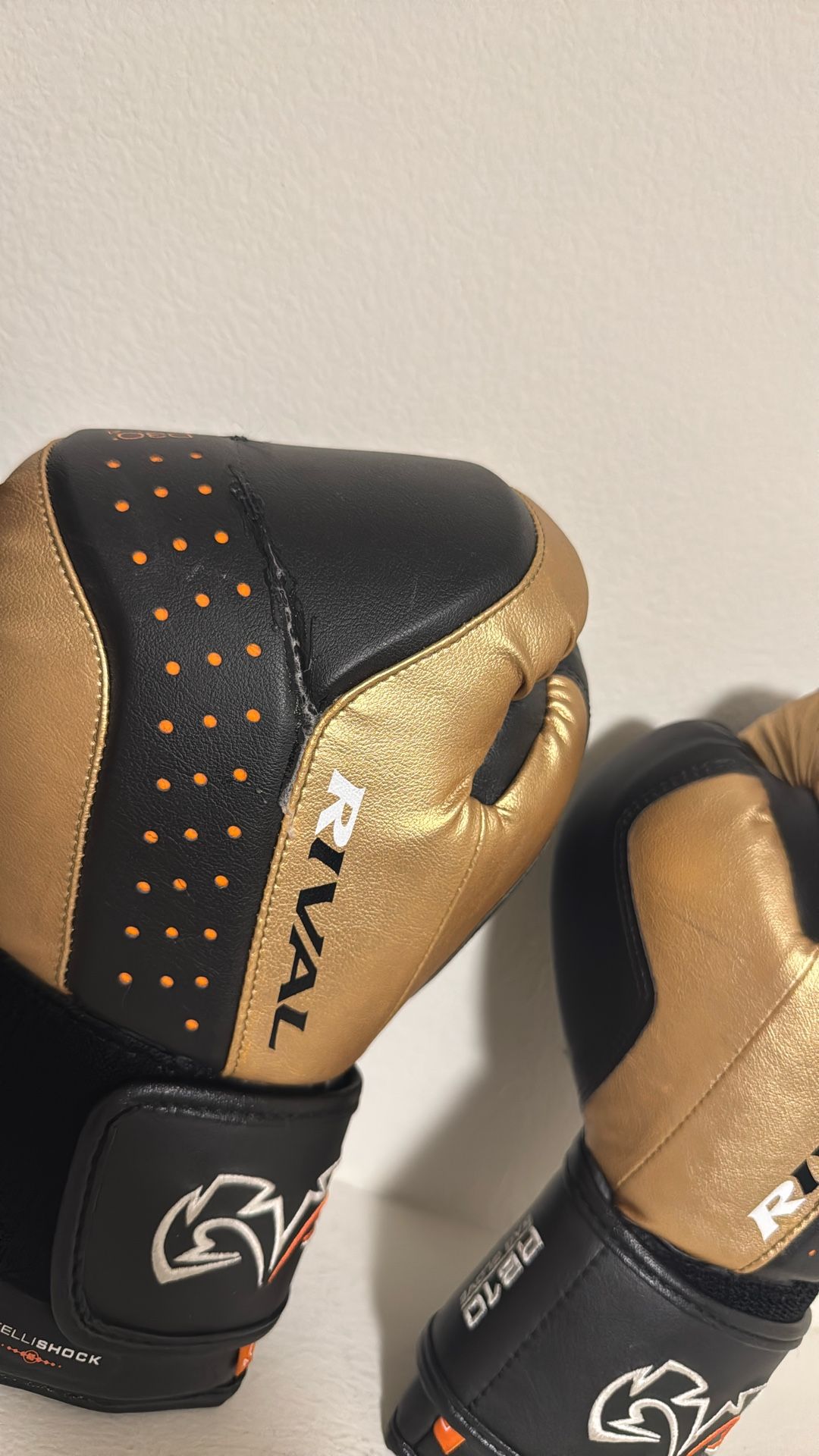 Rival Boxing Gloves