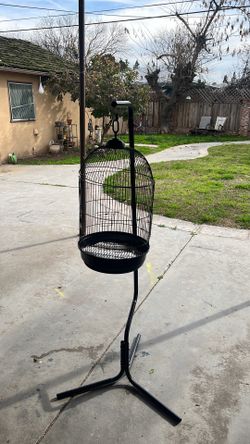 Bird Cage