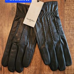 Gloves