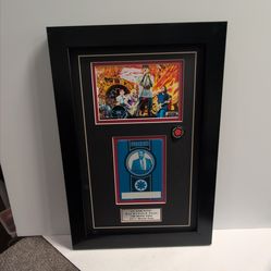 Red Hot Chili Peppers backstage Pass pick frame