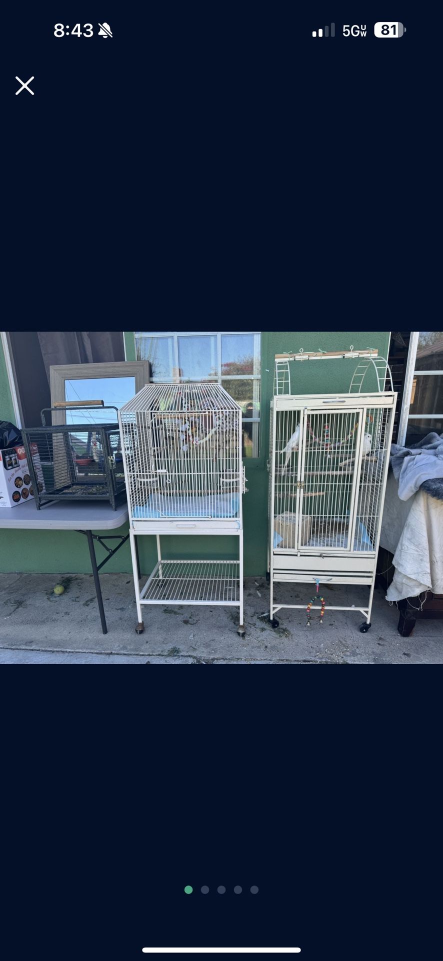 Bird Cages 