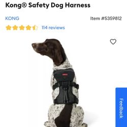 LG Kong Dog Harness 