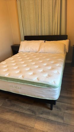 Queen Size Bed Like New